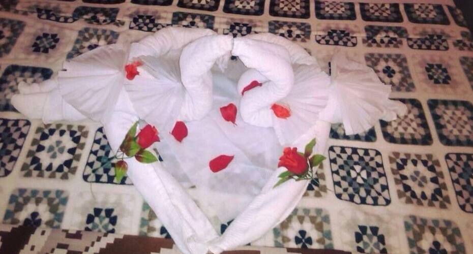 Gir Paradise Hotel, Junagadh 3